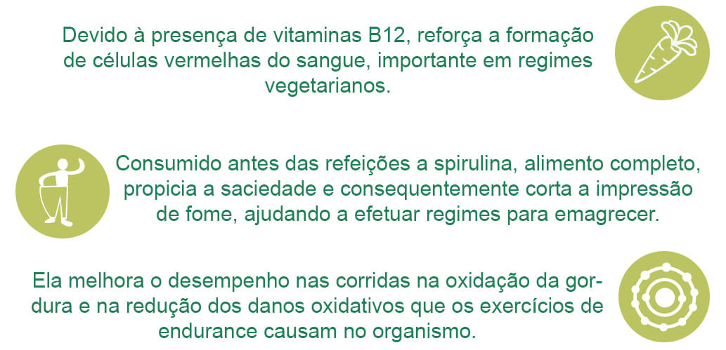 Spirulina Fazenda Tamanduá