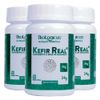 mkt-biologicus-kit-3x-kefir-real-magnesio-60-capsulas-36g