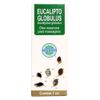 panizza-oleo-essencial-massagem-eucalipto-globulus-eucalyptus-7ml-loja-projeto-verao-01
