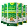 prodapys-kit-5x-extrato-propolis-verde-sem-alcool-20-extrato-seco-50mg-45-capsulas-loja-projeto-verao