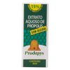 prodapys-extrato-aquoso-propolis-sem-alcool-30ml-loja-projeto-verao-02