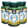 kampo-de-ervas-kit-3x-maca-peruana-certificada-organica-500mg-90-capsulas-loja-projeto-verao
