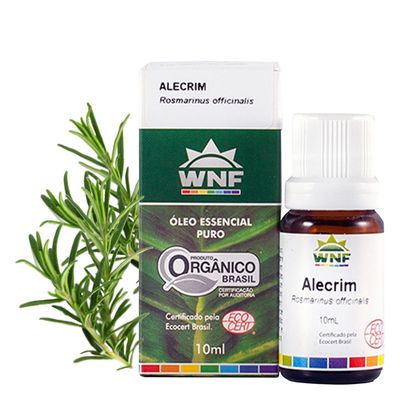 wnf-oleo-essencial-alecrim-rosmarinus-officinalis-10ml-loja-projeto-verao-planta