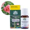 wnf-oleo-essencial-geranio-brasil-5ml-loja-projeto-verao-planta