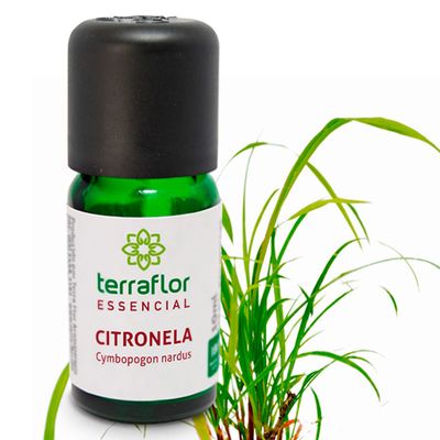 terra-flor-oleo-essencial-citronela-10ml-loja-projeto-verao-planta