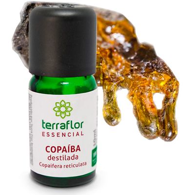 terra-flor-oleo-essencial-copaiba-destilada-10ml-loja-projeto-verao-planta