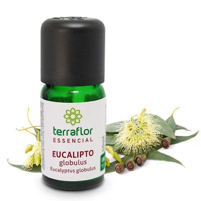 oleo-essencial-eucalipto-globulus-10ml