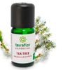 terra-flor-oleo-essencial-tea-tree-melaleuca-10ml-loja-projeto-verao-planta