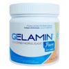 advanced-nutrition-gelamin-colageno-hidrolisado-sem-sabor-300g-loja-projeto-verao
