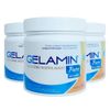 advanced-nutrition-kit-3x-gelamin-colageno-hidrolisado-sem-sabor-300g-loja-projeto-verao