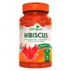 katigua-hibiscus-500mg-60-capsulas-vegan-caps-vegetarianas-loja-projeto-verao