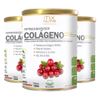 mix-nutri-kit-3x-colageno-verisol-sabor-cranberry-300g-loja-projeto-verao