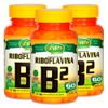 unilife-kit-3x-vitaminaB2-riboflavina-60-capsulas-vegetarianas-vegan-loja-projeto-verao
