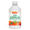 tiaraju-liv-clorofila-b12-chlorella-sabor-menta-500ml-loja-projeto-verao