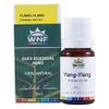 wnf-oleo-essencial-ylang-ylang-cananga-odorata-5ml-loja-projeto-verao