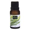 livealoe-oleo-essencial-lemongrass-vitalidade-12ml-loja-projeto-verao