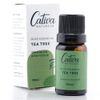 cativa-natureza-oleo-essencial-tea-tree-melaleuca-alternifolia-10ml-loja-projeto-verao
