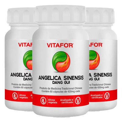 vitafor-kit-3x-angelica-sinensis-dang-gui-420mg-60-capsulas-loja-projeto-verao--1-