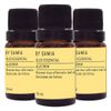 by-samia-kit-3x-oleo-essencial-alecrim-10ml-loja-projeto-verao