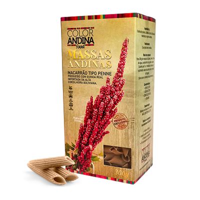 color-andina-massa-de-macarrao-de-quinoa-300g-loja-projeto-verao