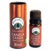 bioessencia-oleo-essencial-canela-cassia-cinnamomum-cassia-10ml-loja-projeto-verao