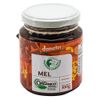 fazenda-tamandua-mel-organico-demeter-300g--2-