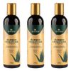 livealoe-kit-3x-shampoo-fortalecedor-antiqueda-eclipta-alba-alecrim-curcuma-240ml