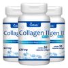 tiaraju-kit-3x-collagen-ii-40mg-30-capsulas-softgel-an