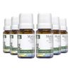 wnf-kit-6x-oleo-essencial-de-menta-piperita-5ml