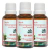 wnf-kit-3x-oleo-de-wintergreen-pronto-para-pele-2v5-oleo-essencial-em-oleo-vegetal-30ml