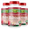 unilife-kit-3x-hibisco-com-gengibre-90-comprimidos