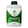 mundo-aloe-polpa-de-babosa-100-polpa-de-aloe-vera-pura-1000ml