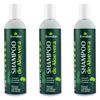 livealoe-kit-3x-shampoo-de-aloe-vera-anticaspa-controle-de-oleosidade-melaleuca-copaiba-lipia-sidoides-erva-baleeira-300ml