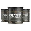 natural-day-kit-3x-creatina-monohidratada-250g