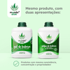 Aloe_Vera_gel_Polpa_mundo_aloe.png