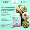 moringa-da-paz_30g_60_unidades_capsulas_moringa_oleifera_projeto-vera-NOA-hero-claro.png