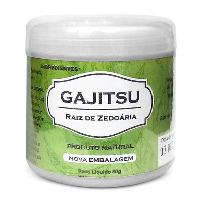 gajitsu-1--1-.png