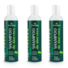 shampoo-de-aloe-vera_kit-3x-anticaspa-controle-de-oleosidade-melaleuca-copaiba-lipia-alba-erva-baleeira-vegan-300ml_livealoe