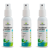 desodorante-natural_kit-3x-sem-perfume-aloe-vera-pariri-lipia-120ml_livealoe