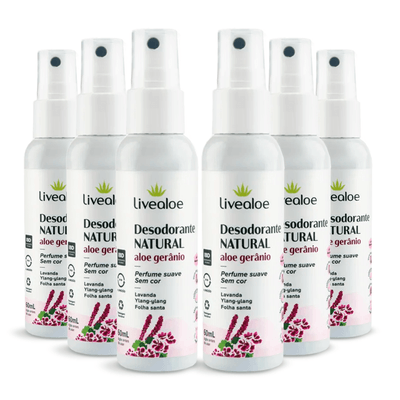 desodorante-natural-aloe-geranio_kit-6x-lavanda-ylang-ylang-follha-santa-60ml_livealoe