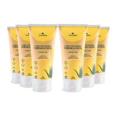creme-sem-enxague-fortalecedor_kit-6x-aloe-vera-castanha-do-brasil-vinagreira-e-ora-pro-nobis-200g_livealoe