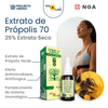 extrato-de-propolis-verde-n70_25-porcento-extrato-seco-30ml_apis-flora-hero