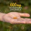 kampo-de-ervas-curcuma-600mg-90-capsulas-loja-projeto-verao-001