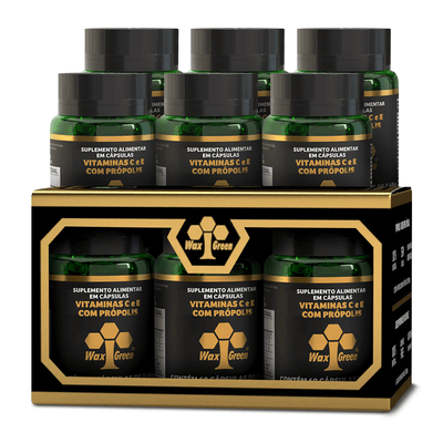 Kit6_suplemento-propolis-verde-extrato-wax-green-vitamina-c-e-60-capsulas-NOA-lojaprojetoverao-c-copiar
