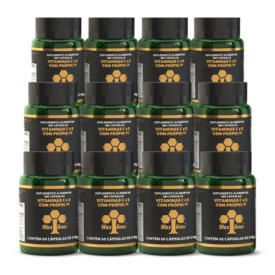 Kit12-suplemento-propolis-verde-extrato-wax-green-vitamina-c-e-60-capsulas-NOA-lojaprojetoverao-c-copiar-3