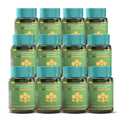 kit12_suplemento-propolis-verde-extrato-wax-green-100-capsulas-NOA-lojaprojetoverao-copiar-2