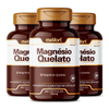 magnesio-quelato_kit-3x-500mg-60-capsulas_melfort
