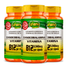 cianocobalamina-b12_kit-3x-9v940mcg-vegan-60-capsulas_unilife