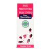base-unhas-protetora-painizza-10ml-com-queratina-projeto-verao-noa