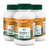 kit3-kefir-kfr-vitamina-C-biologicus-noa_projeto-verao-tranp